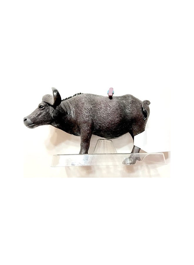 Toys - WATER BUFFALO - Image 1