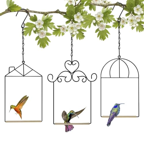 XYADX Metal Frame Hummingbird Swings and Perches with Wooden Dowel Black Bird Swing Outdoor Bird Perch Humming Bird Swing (3PK Different) - Image 1