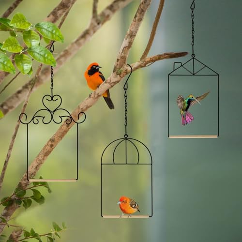 XYADX Metal Frame Hummingbird Swings and Perches with Wooden Dowel Black Bird Swing Outdoor Bird Perch Humming Bird Swing (3PK Different) - Image 4