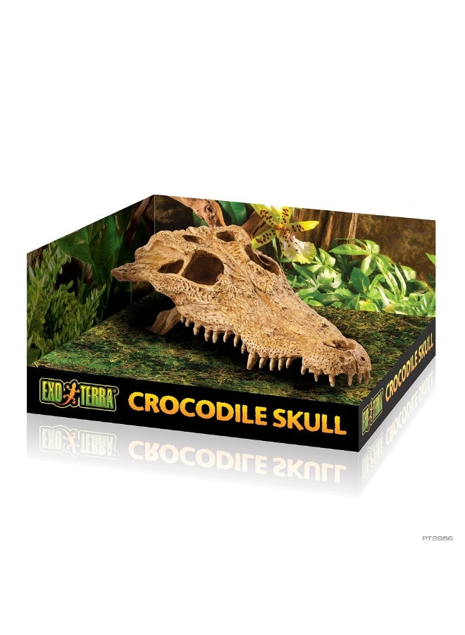 Exo Terra Crocodile Skull Hide Outs