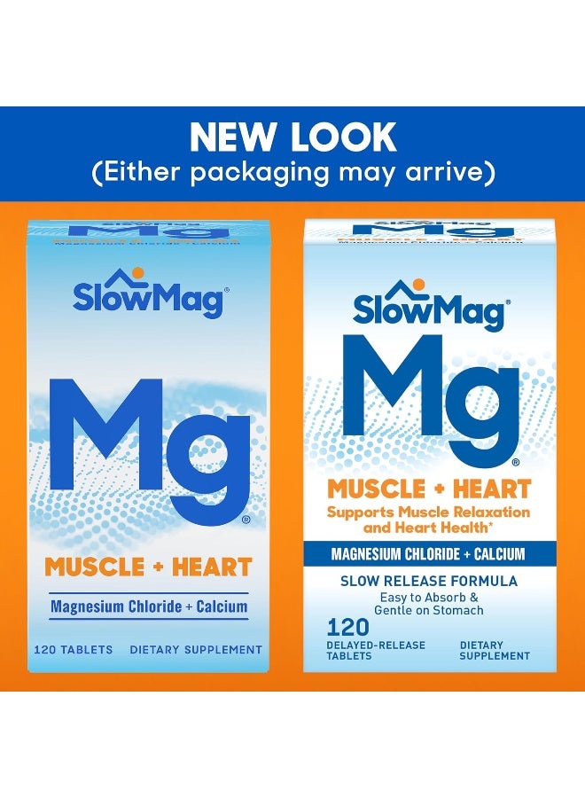 مكمل كلوريد المغنيسيوم مع الكالسيوم SlowMag Mg Muscle + Heart، 120 قرصًا - Image 3