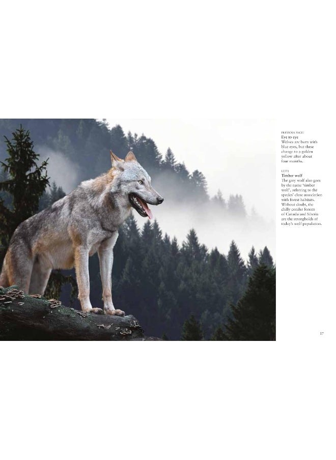 Wolves  - Image 3