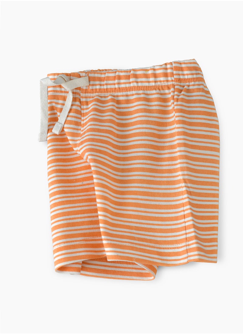 JAM Sun Adventures: Boys' Breathable Cotton Knit Shorts  - Image 3