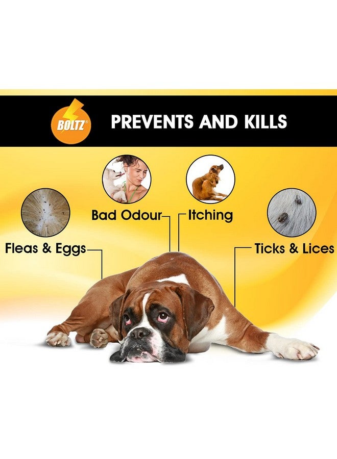 Boltze شامبو للكلاب والقطط 200 مل، شامبو للكلاب خالٍ من القراد، مستخلصات طبيعية من النيم والتولسي والليمون، تركيبة مضادة للفطريات ومضادة للحكة، درجة حموضة متوازنة، بشرة صحية وفراء لامع، مناسب لجميع السلالات - Image 4
