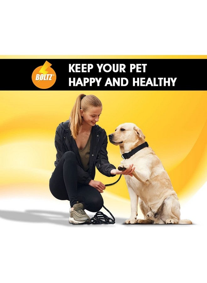 Boltze شامبو للكلاب والقطط 200 مل، شامبو للكلاب خالٍ من القراد، مستخلصات طبيعية من النيم والتولسي والليمون، تركيبة مضادة للفطريات ومضادة للحكة، درجة حموضة متوازنة، بشرة صحية وفراء لامع، مناسب لجميع السلالات - Image 5