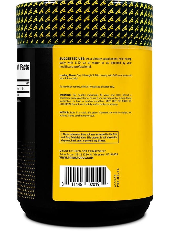 Primaforce Micronized Creatine Monohydrate Powder 500 Grams (1.1 Pounds) - Image 3