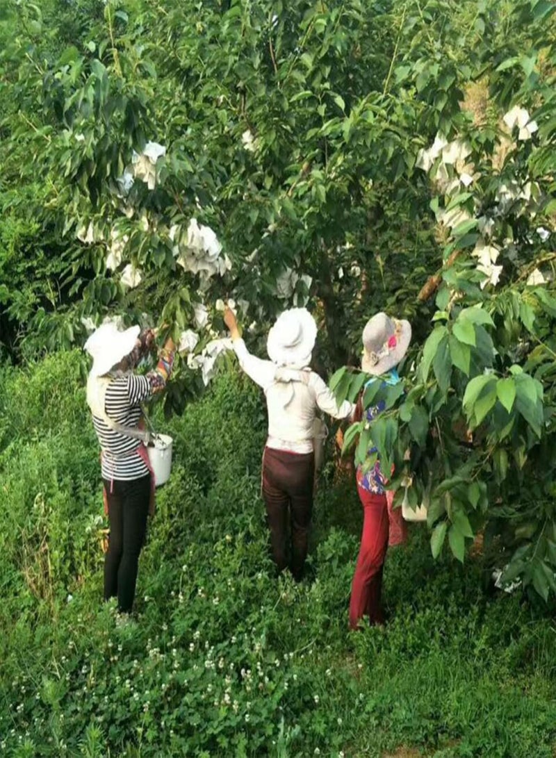GGOOT Seed for Planting50Pcs Vegetable Fruit Protection Bag Drawstring Anti Bird Pest Mesh Pouch-10*15cm  - Image 2