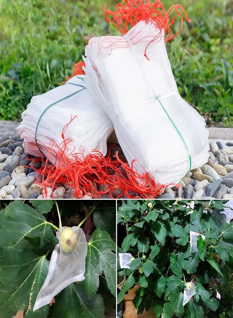 GGOOT Seed for Planting50Pcs Vegetable Fruit Protection Bag Drawstring Anti Bird Pest Mesh Pouch-10*15cm  - Image 5