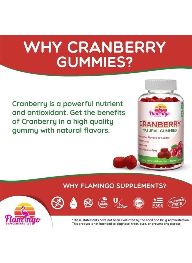 Flamingo Supplements Cranberry Gummies 1000 mg - Cranberry Supplement Alternative to Cranberry Pills or Juice for Women, Men, Kids. Cranberry for Urinary Tract Health, UTI Relief- Vegan, Halal, Kosher Chews- 60 Gummies - Image 3