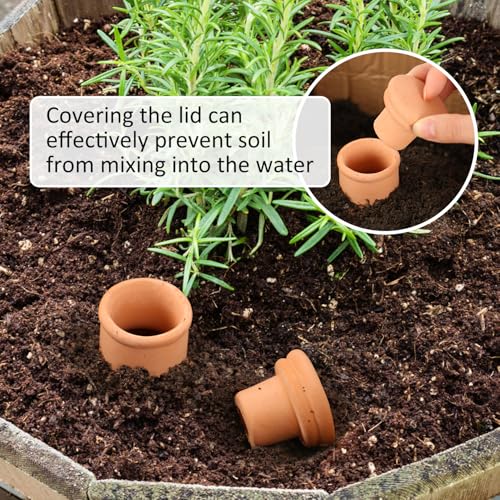 Lovely Ran 2 pcs Large 10x5in Ollas Terracotta Watering Pots Self Watering Planter Insert 1.8L Terra Cotta Clay Watering Spikes Automatic Plant Watering Devices for Outdoor & Indoor Plants Self-irrigate - Image 5