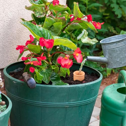 Lovely Ran 2 pcs Large 10x5in Ollas Terracotta Watering Pots Self Watering Planter Insert 1.8L Terra Cotta Clay Watering Spikes Automatic Plant Watering Devices for Outdoor & Indoor Plants Self-irrigate - Image 4