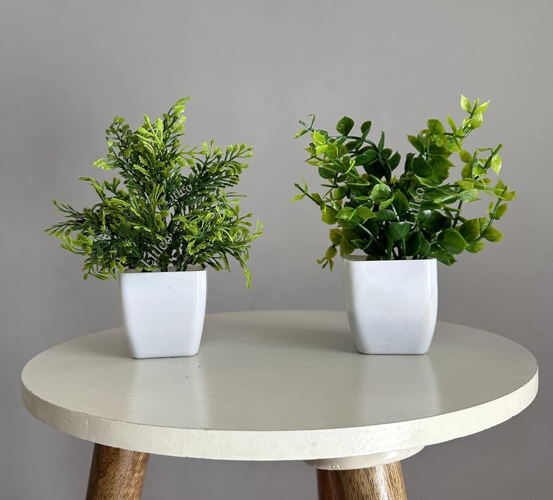 Litleo Artificial Plants Mini Fake Potted Plants, Small Eucalyptus Potted Faux Decorative Grass Plant with White Pot for Home Decor, Indoor, Office, Desk, Shelf, Table Decoration (Pack of 12) - Image 5