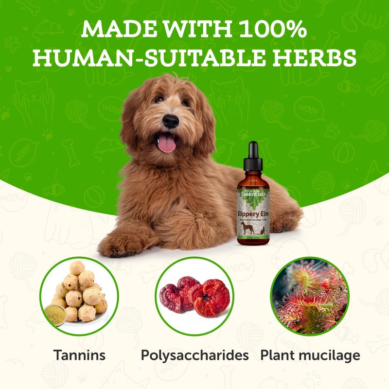 Animal Essentials Slippery Elm - Herbal Extract for Dogs and Cats, Promotes Healthy Digestion, Bowel Function, Certified Organic Herbs, All Natural, Respiratory Health, Liquid Formula - 1 Fl Oz - Image 3