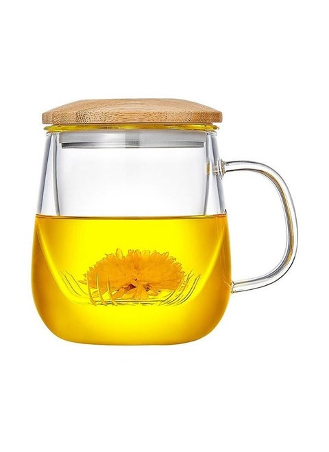 Glass Tea Cup With Infuser Lid With Handle Tea Pots 470ML