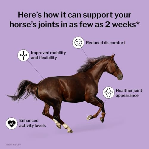 Formula 707 Joint 6in1 Equine Supplement 10 lb Bag – Support for Joint Integrity and Inflammatory Response in Horses – Green-Lipped Mussel, MSM, Glucosamine, Chondroitin & Collagen - Image 2