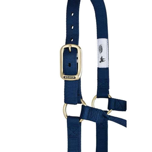 Weaver Equine Weaver Leather Original NonAdjustable Nylon Horse Halter Large Navy - Image 3