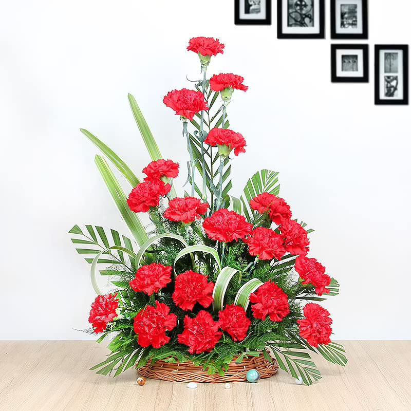 FlowerAura Fresh Live Flower Bouquet of 25 Red Carnations Flowers In Basket For Birthday Gift Anniversary Gift Wedding Gift Congratulations Gift Gift For Special Occasions Same Day Delivery - Image 1