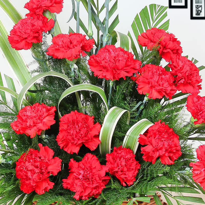 FlowerAura Fresh Live Flower Bouquet of 25 Red Carnations Flowers In Basket For Birthday Gift Anniversary Gift Wedding Gift Congratulations Gift Gift For Special Occasions Same Day Delivery - Image 2