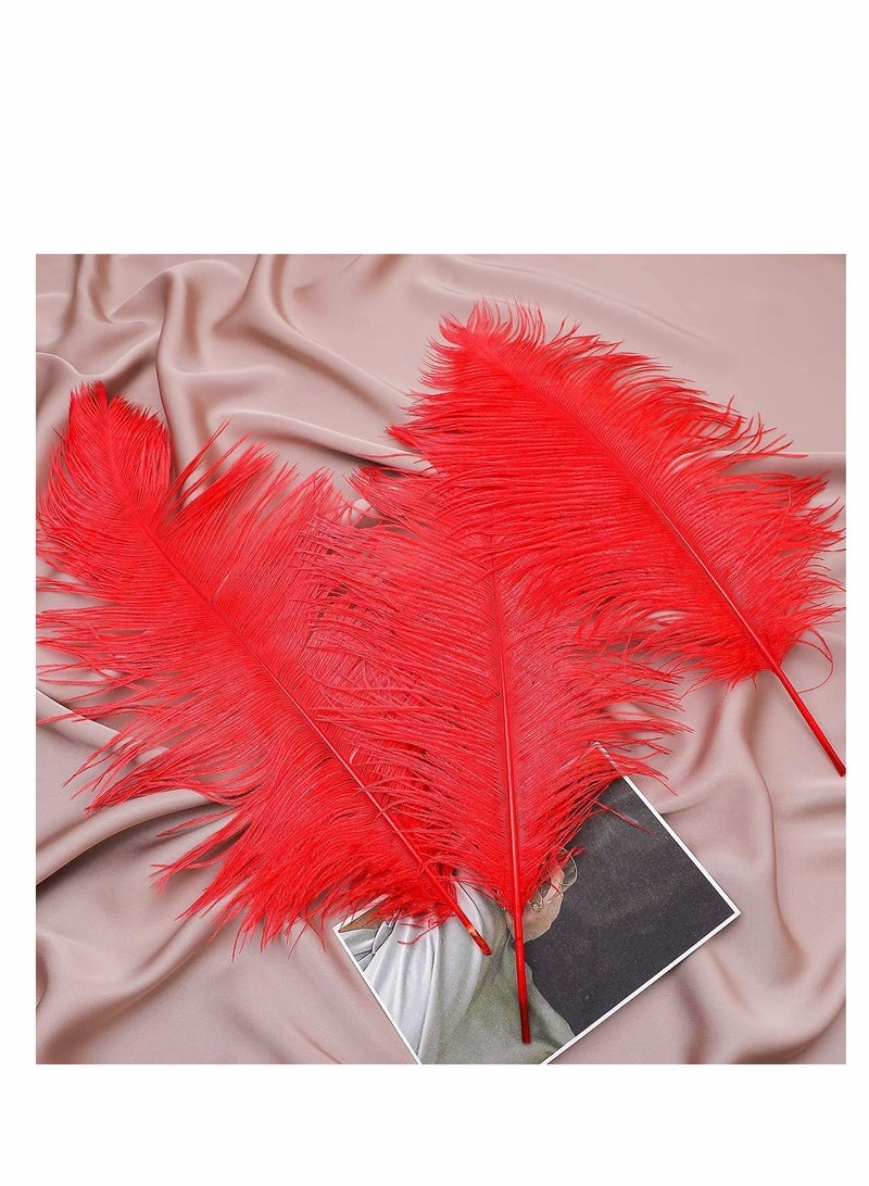 Excefore Ostrich Feathers Bulk Natural 10-12inch 25-30 cm Ostrich Feathers Lamp Wedding Party Centerpieces, Flower Arrangement and Home Decoration (Red) 10 Pcs - Image 2