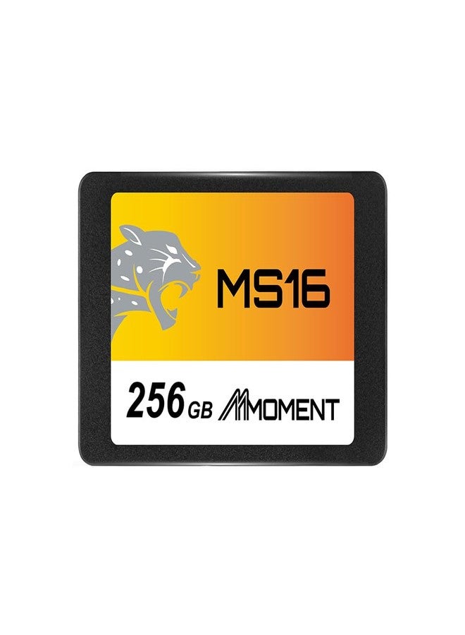 MMOMENT [Made in Taiwan] MMOMENT MS16 256GB 2.5-inch SSD, SATA3, 6Gb/s (read up to 550MB/s) - Image 1