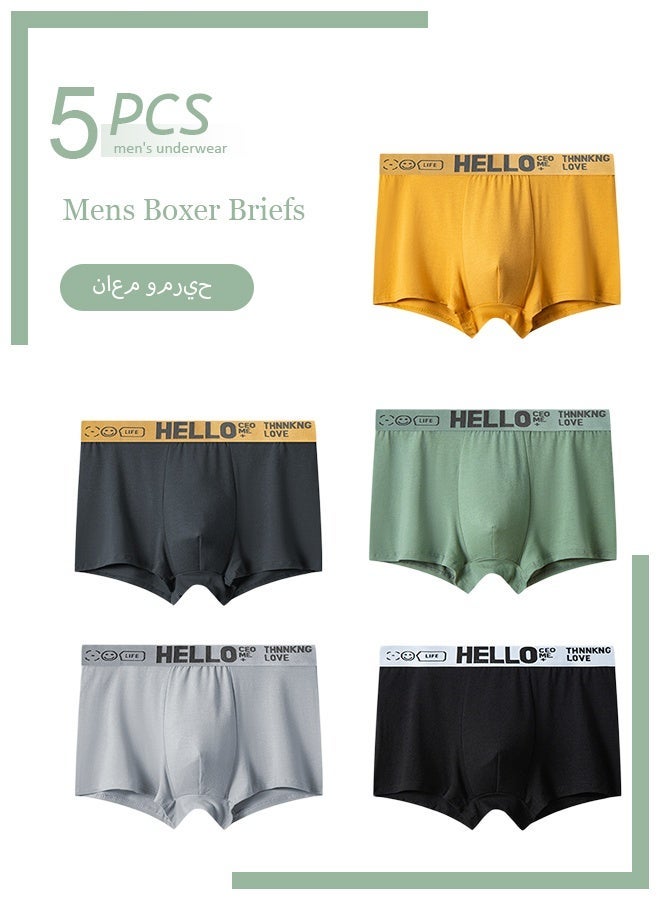 Hello Boxer Shorts Men 5 Pcs Boxer Mens Underwear Boxershorts Man Cotton Underpants Breathable Men Boxers Comfortable Elastic Male Pantie 2XL（65-70Kg） - Image 1
