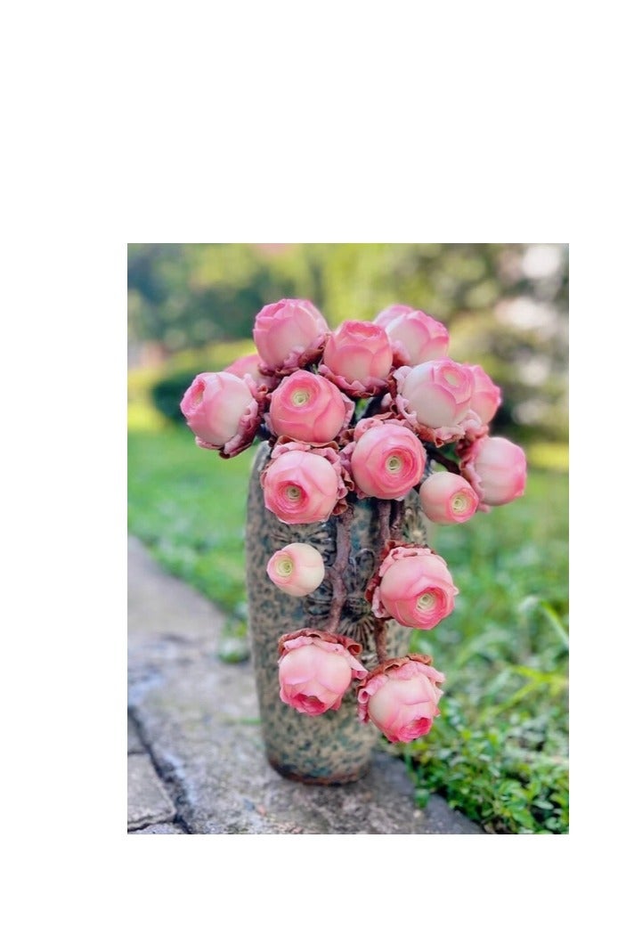 500pcs Mix Rose Succulent Seeds for Planting, DIY Bonsai Ornamental Plant Hardy Perennial - Image 4