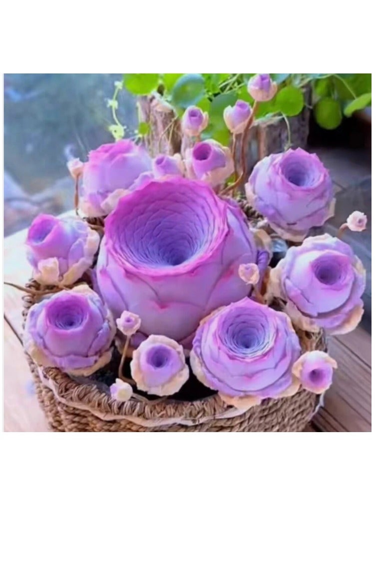 500pcs Mix Rose Succulent Seeds for Planting, DIY Bonsai Ornamental Plant Hardy Perennial - Image 2