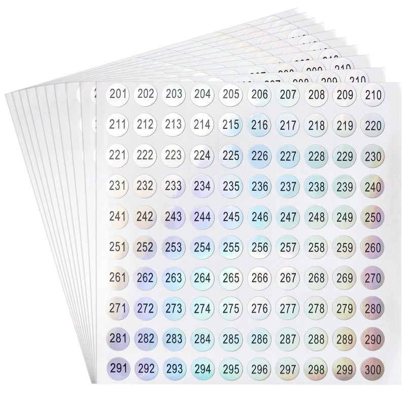 dealzEpic dealzEpic  Waterproof Reflective Laser Number Stickers  201 to 300 Round Self Adhesive Stickers  Set of 10 Sheets 