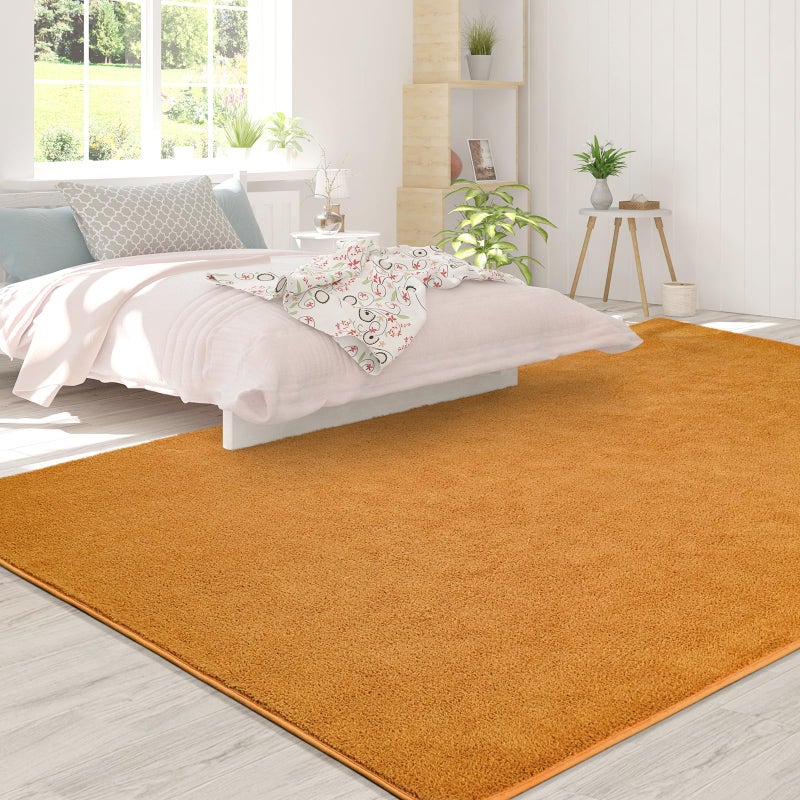 FlyDOIT Area Rugs for Bedroom Living Room, 4x6 Orange Super Soft Comfy Thickened Memory-Foam Indoor Carpets, Modern Aesthetic Minimalist Carpet for Boys Girls Adults Apartment Nursery Home DÃ©cor - Image 4