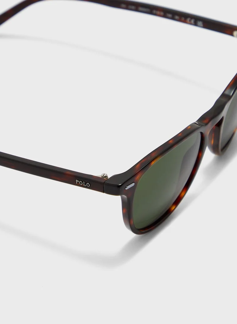 POLO RALPH LAUREN 0Ph4194U Oversized Sunglasses