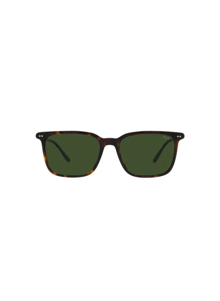 POLO RALPH LAUREN 0Ph4194U Oversized Sunglasses