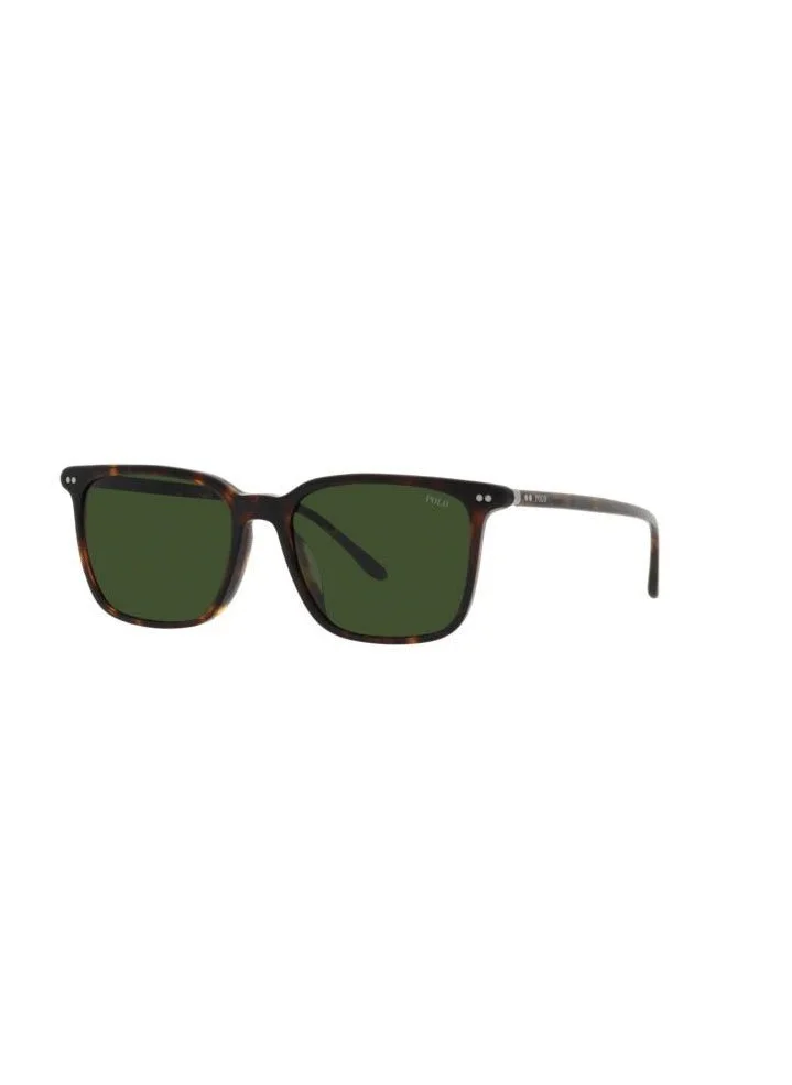 POLO RALPH LAUREN 0Ph4194U Oversized Sunglasses