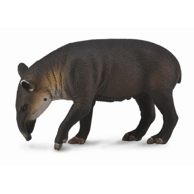 Collecta - Baird's Tapir - 88596
