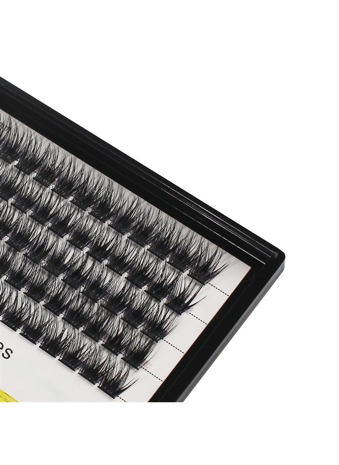 Bodermincer 120 Clusters 10mm+12mm/12mm+14mm/14mm+16mm Mixed Wide Cluster False Eyelash Individual Cluster EyeLashes Grafting Fake False Eyelashes Eyelash Extension (12mm+14mm Mixed)  - Image 2