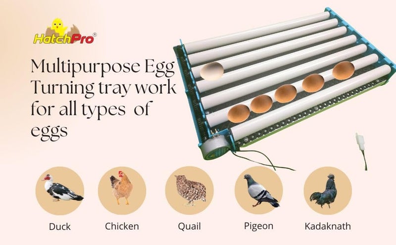 HatchPro ABS Plastic 80 Electric Eggs Turning Tray Automatic For Egg Incubator With Motor, For All Types Of Eggs With Hatching Grill (Multipurpose) - Image 5