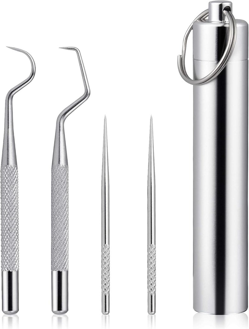 Worldity 5Pcs Reusable Toothpick, Portable Metal Toothpick, Professional Teeth Cleaning Tools, Dental Picks with Toothpick Holder and Key Ring for Travel Picnic Camping - Image 1