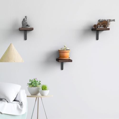 flux Wooden Square Wall Mounted Plant Stand Floating Shelves for Wall Wood Shelf Decor Plant Display Collectibles Mounted Kitchen Bathroom Bedroom Decorative Storage Shelf Stand (Black Pack of 3) - Image 1