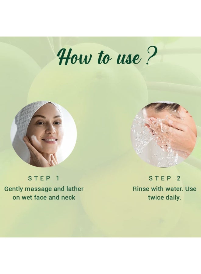 بيوتيك غسول الوجه بيوتيك للتنظيف العميق بالبابايا | تقشير لطيف | بشرة مشرقة | مستخلصات نباتية ١٠٠٪ | مناسب لجميع أنواع البشرة | ٢ × ١٠٠ مل - Image 4