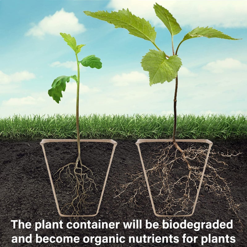 winemana Seed Starter Peat Pots,Biodegradable with Humidity Dome and Labels For Plant Nursery, Seedlings Planting For Indoor Outdoor Garden (Square)36 Set - Image 4