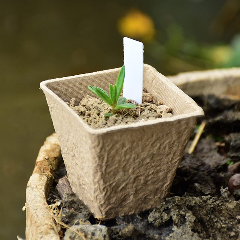 winemana Seed Starter Peat Pots,Biodegradable with Humidity Dome and Labels For Plant Nursery, Seedlings Planting For Indoor Outdoor Garden (Square)36 Set - Image 5
