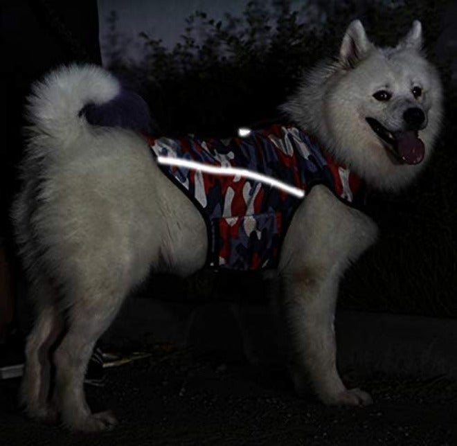 Winbate Dog Anxiety Jacket- Keep Calmig Vest Reflective Thunder Coat with D-Ring and Training Handle for Small Medium Large Dogs,Camouflage - Image 4