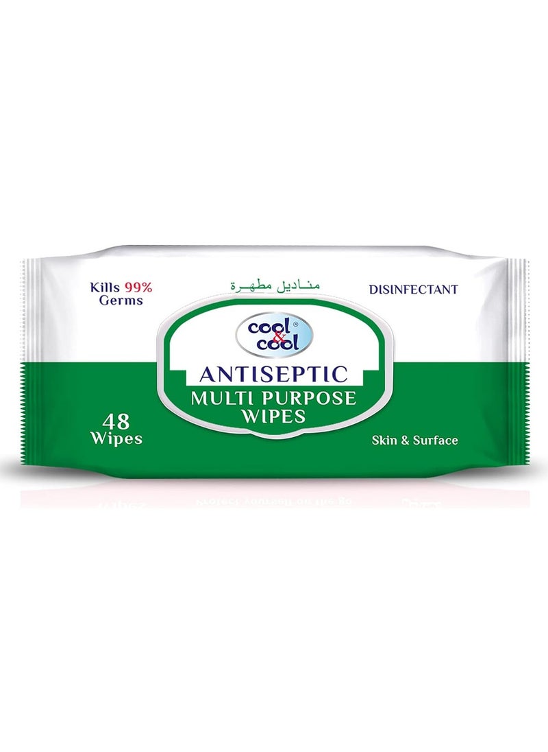 Cool & Cool Antiseptic Multi Purpose Wipes 48 Wipes  - Image 1