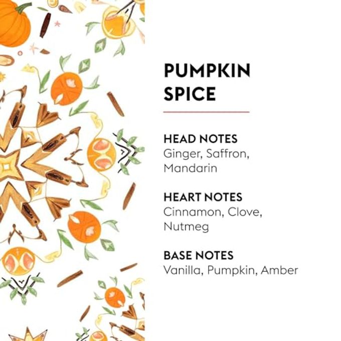 Maison Berger Pumpkin Spice Refill  500ml (16.9 Fl Oz) Home Fragrance Oil for Lampe Berger Diffusers Cinnamon, Clove, and Vanilla  Limited Edition Air Purifier for Halloween and Holidays - Image 2