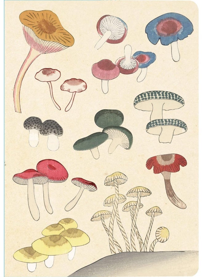 Healing Mushrooms Lined Paperback Journal: Blank Notebook with Pocket  - Image 1