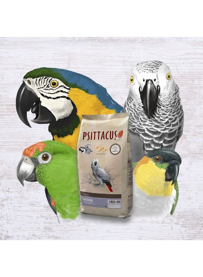 Psittacus High Energy Hand-Feeding Formula 2.2 lb | Diet for Baby African Greys, Macaws and Other African Parrots | Premium Food for Birds, 100% no-GMO - Image 3