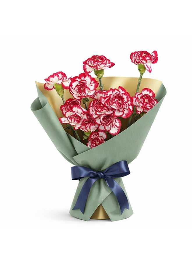 Carnations, Baccarcat - 20 stems - 70cm, Colombia