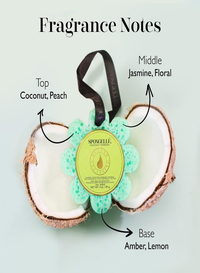 SPONGELLÉ Spongelle Coconut Verbena Wild Flower Buffer Body Scrubber | Bath & Shower Loofah for Women | Exfoliator with Body Wash Infused Sponge | 14+ uses - Image 3