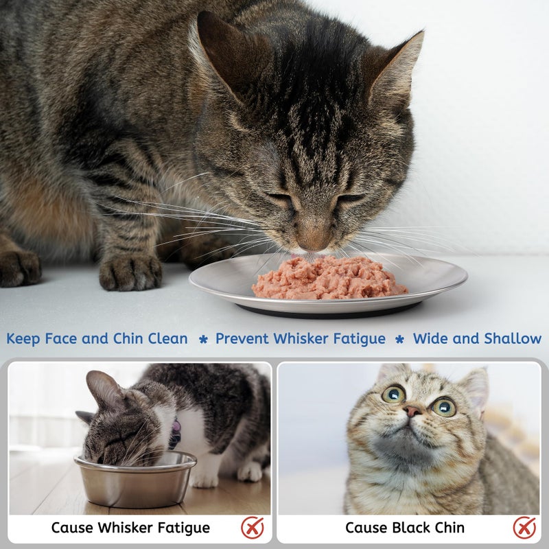 Kitwinney Stainless Steel Cat Bowls, 6.7" Wide and Shallow Cat Food Bowl Set with Silicone Ring for Non Slip, Flat Metal Cats Dishes or Plates for Feeding Indoor Cats, Kitten, Small Dogs (Silver-2 Pack) - Image 5