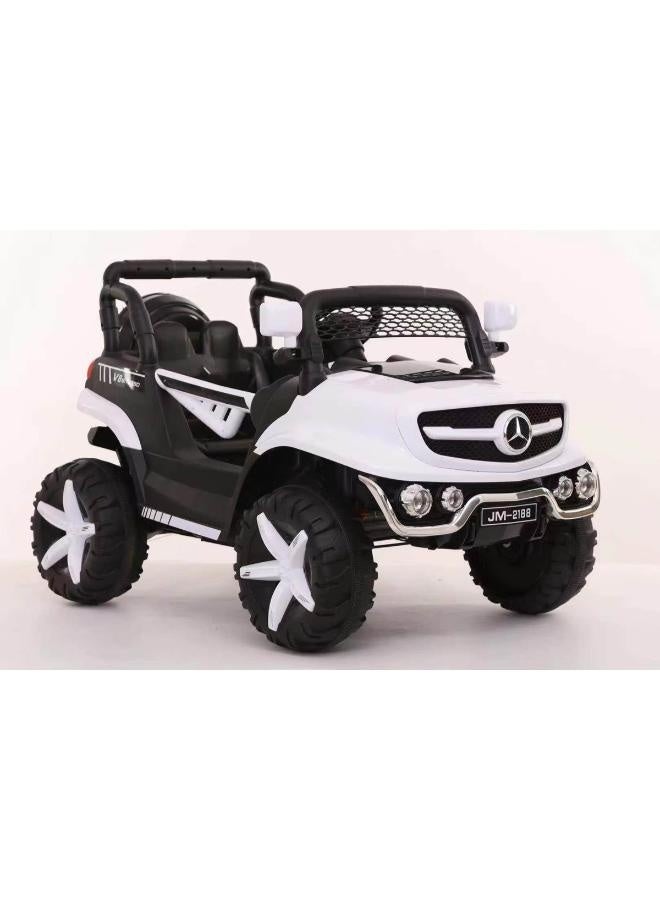 Electric Car 4WD With 2Motors & 2Battery, RC 25-F576