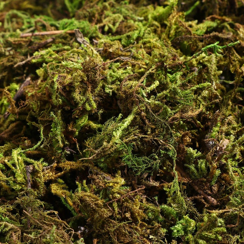 VOSAREA 1 Pack Artificial Moss Fake Lichen Simulation Green Faux Pot Moss for DIY Miniature House (About 60g) - Image 2